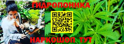 хмурый Кинель