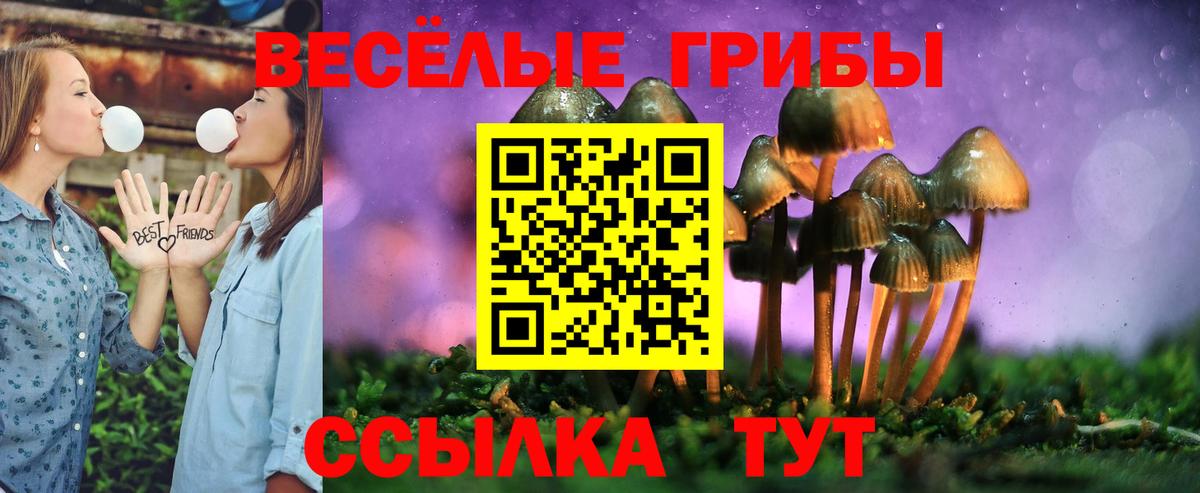 Галлюциногенные грибы прущие грибы  Вход с VPN  Заводоуковск  Галлюциногенные грибы Psilocybe 