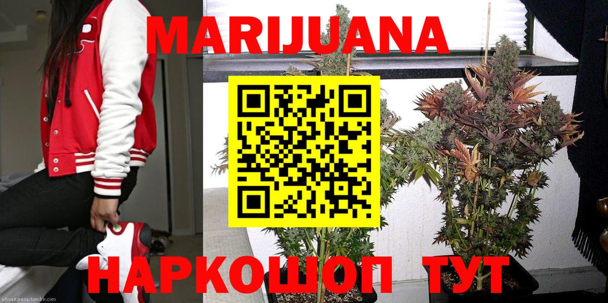 Каннабис OG Kush Заводоуковск